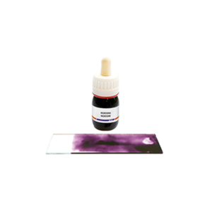 Immersion oil and Nigrosine-Eosin